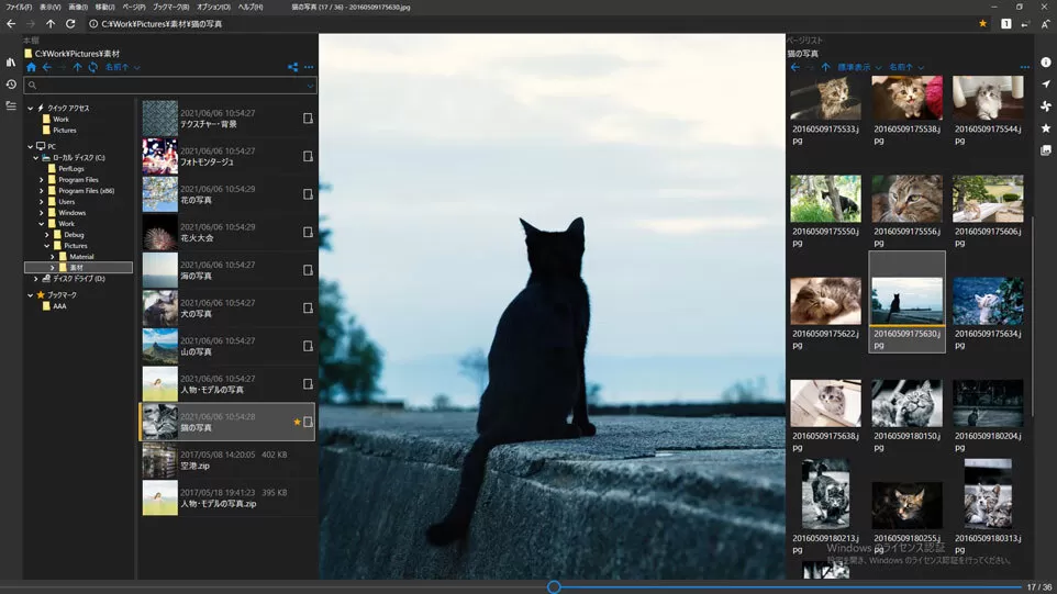 漫画浏览器工具 NeeView v45.0 便携版-系统达人