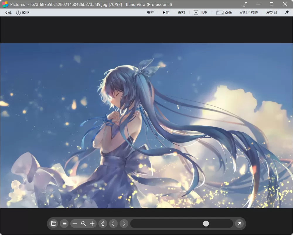 蜂蜜浏览器 BandiView v7.23 中文专业版