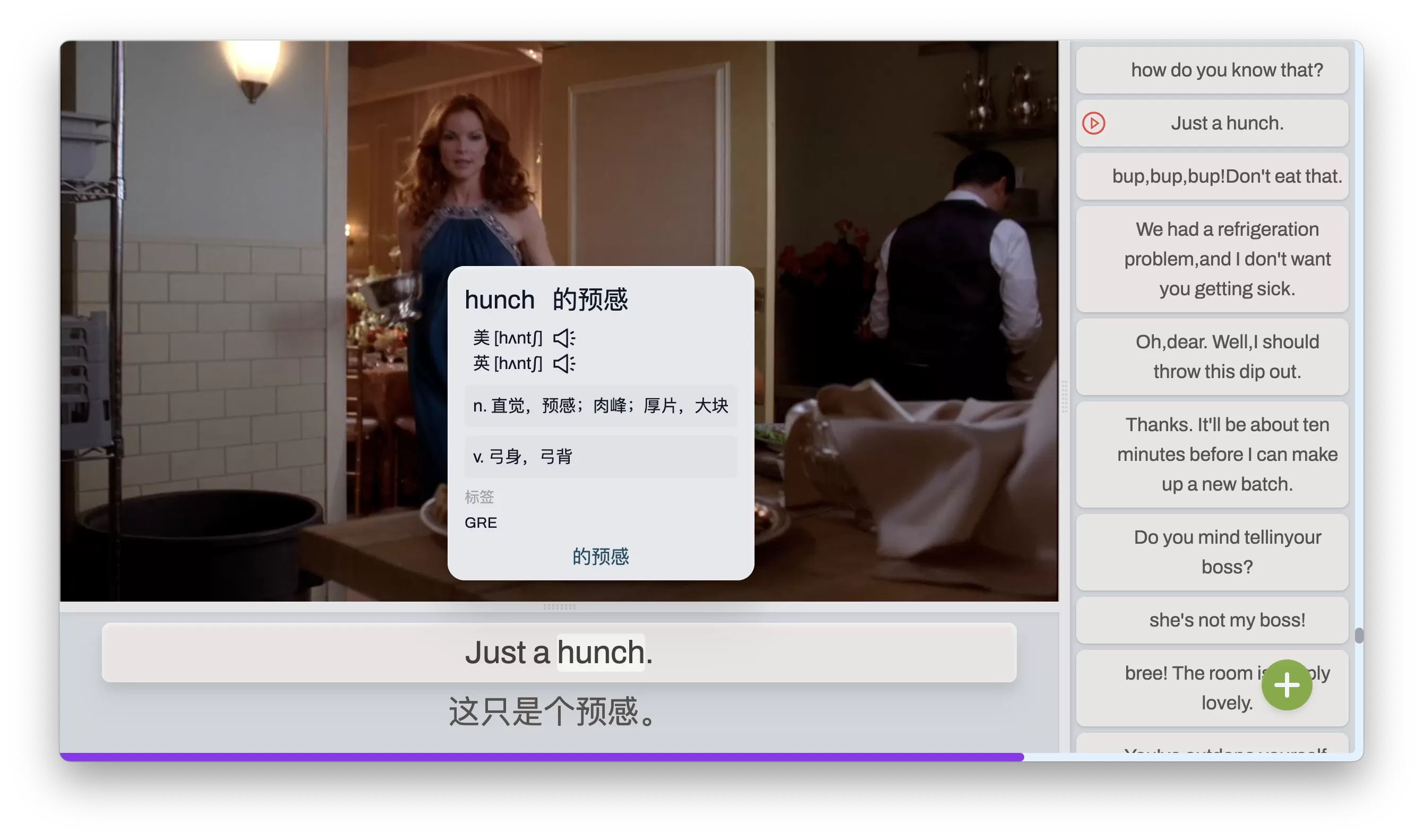 DashPlayer(视频播放器) v5.1.8 安装版