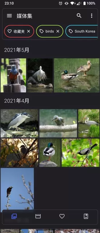 开源照片和视频管理APP Aves v1.13.2
