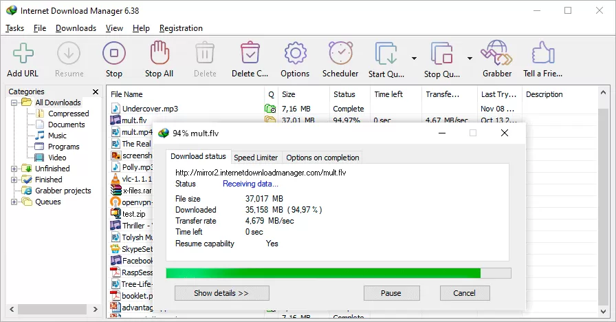 Internet Download Manager v6.42.50中文特别版(IDM)-系统达人