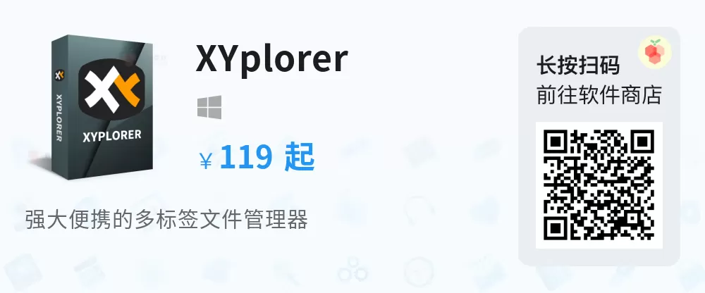 XYplorer PRO v28.00.0500 绿色便携版